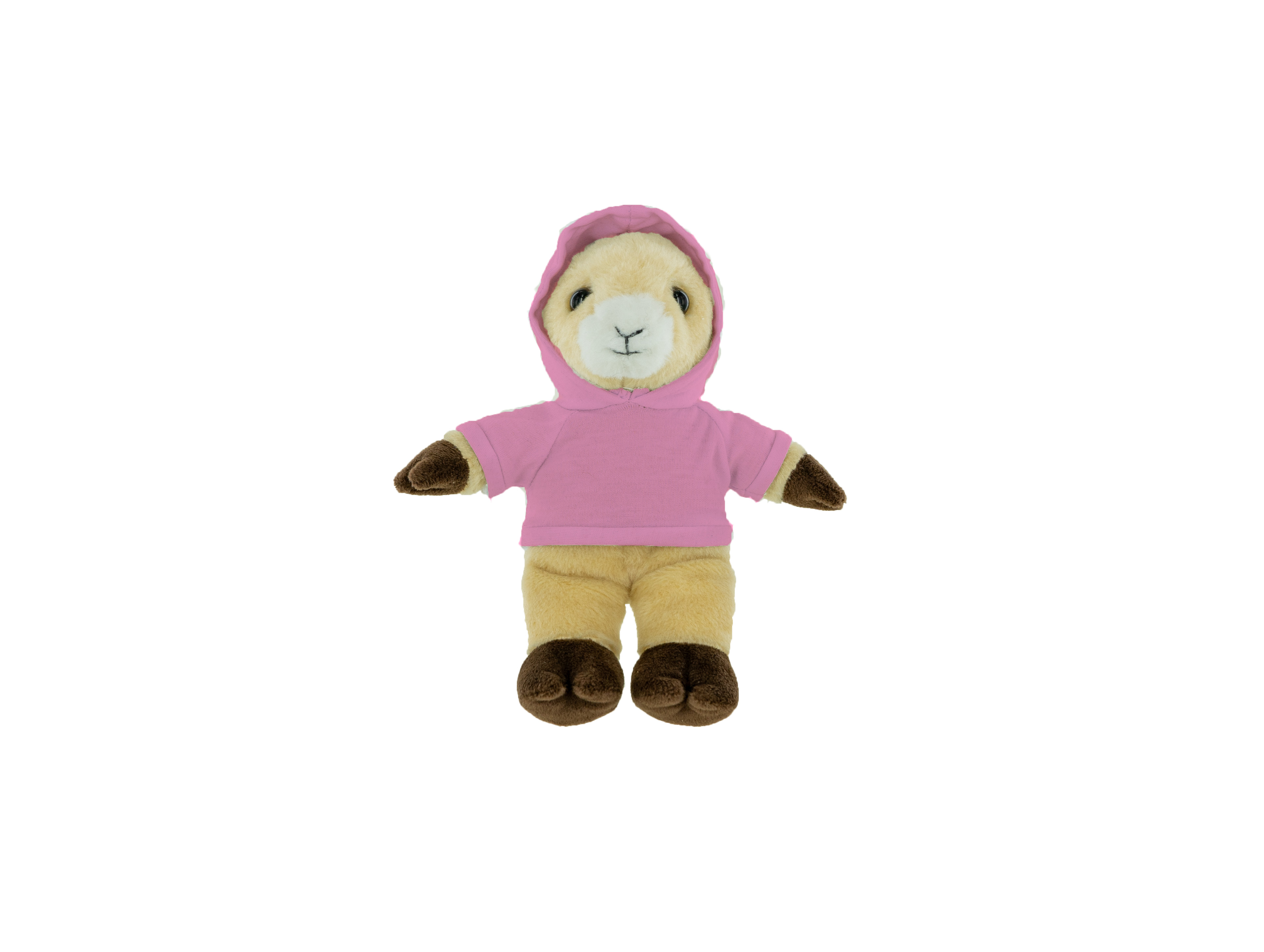 Plush Ram with Hoodie 21
