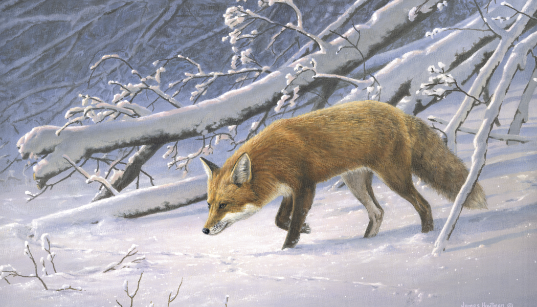 Triumph® Calendars Wildlife Art by the Hautman Brothers Calendar 13