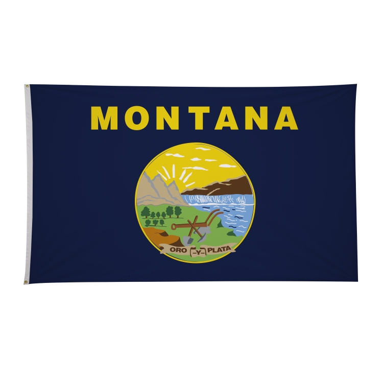 6' x 10' State Flags 4