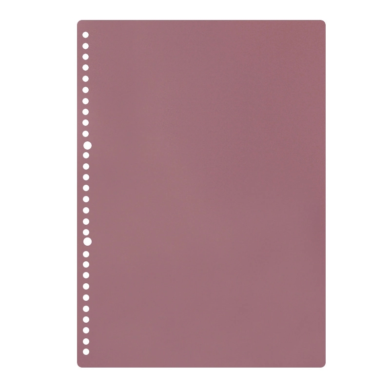 30 Hole Pp Loose Leaf Cover 9