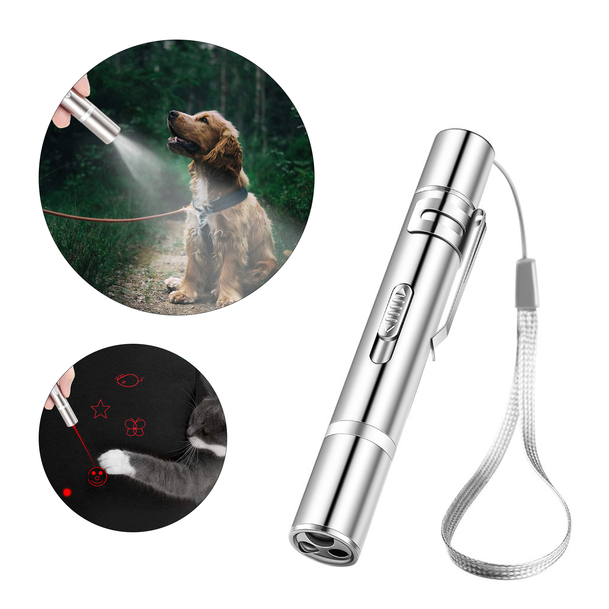 Rechargeable Laser Pointer 1