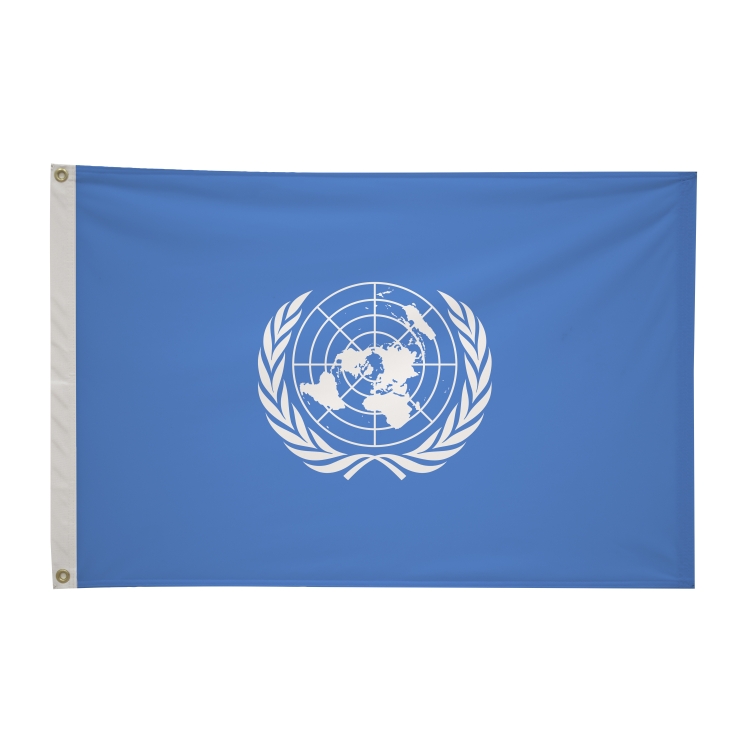2' x 3'International Flag 324