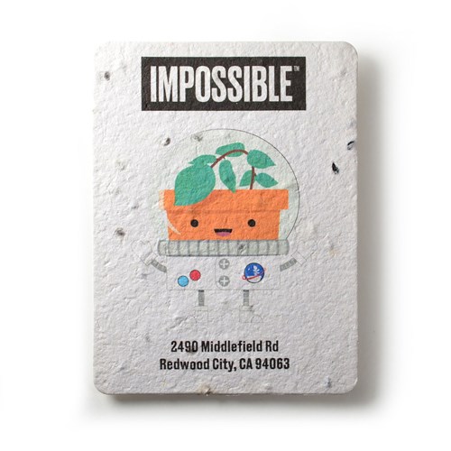 Seed Paper Postcard, Small