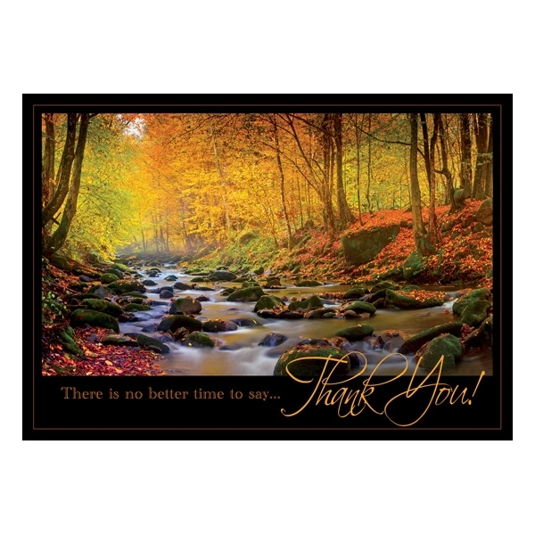 Radiant Thanks Thanksgiving Cards 2