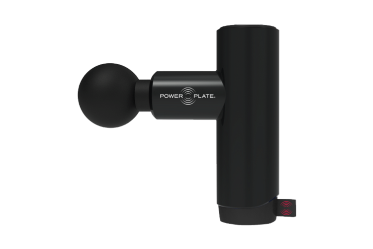 Power Plate Mini+ 2