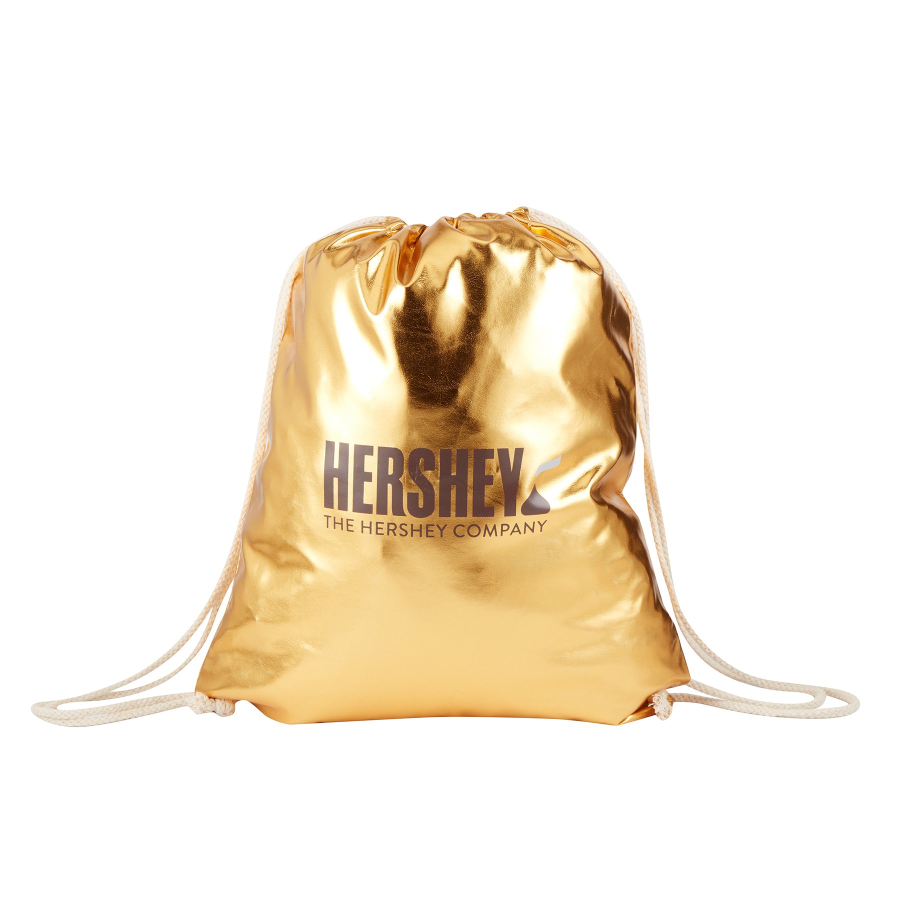 Metallic Drawstring Backpack 2