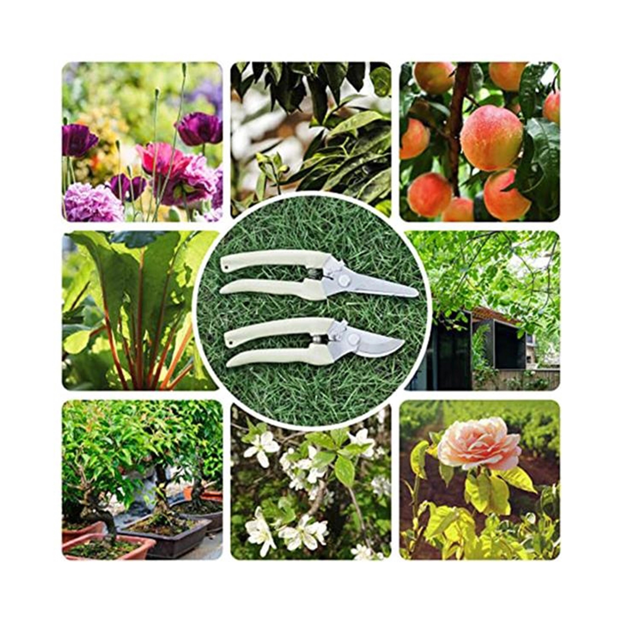 Garden Pruning Shears / Scissor 4