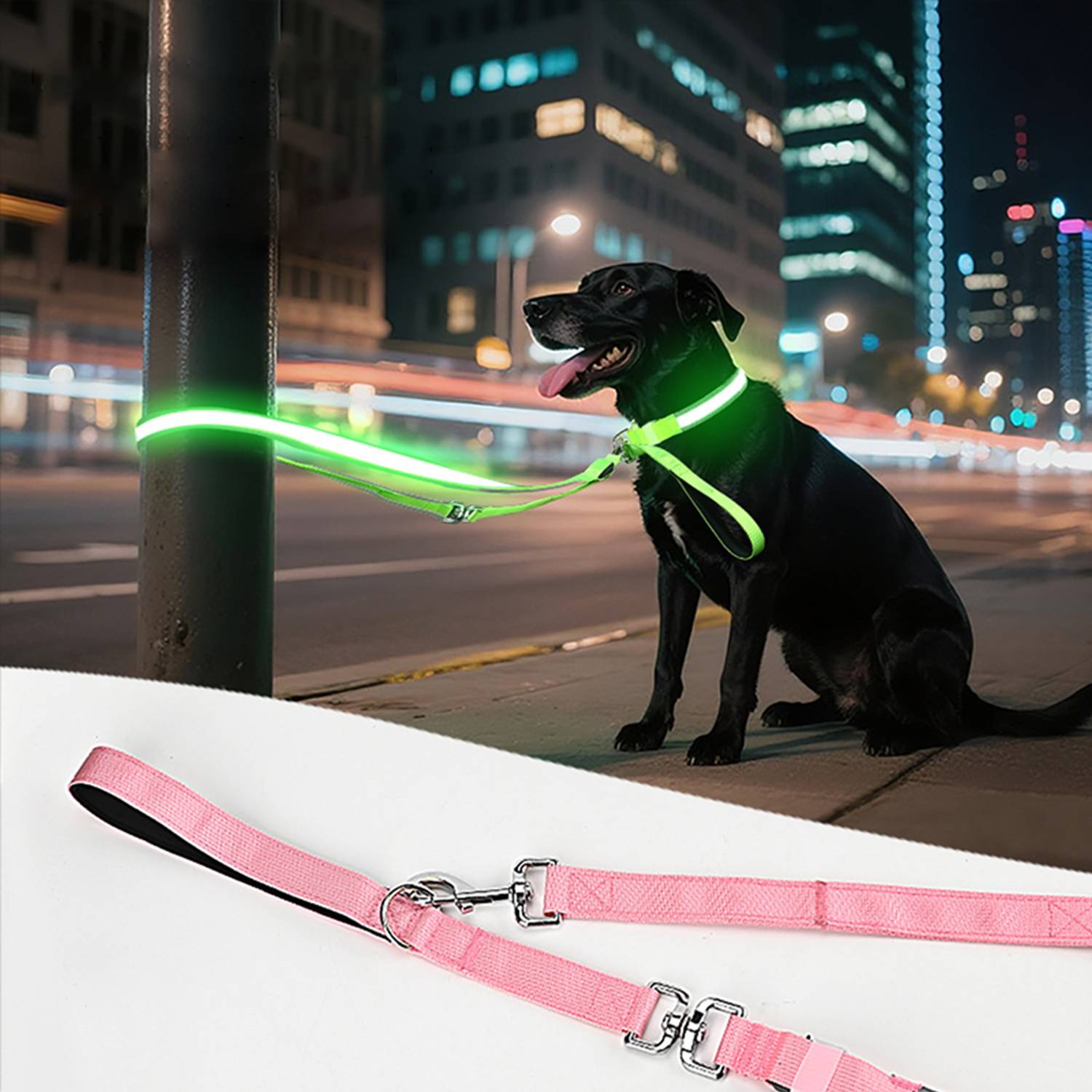 Glowing LED Pet Collar Leash 8