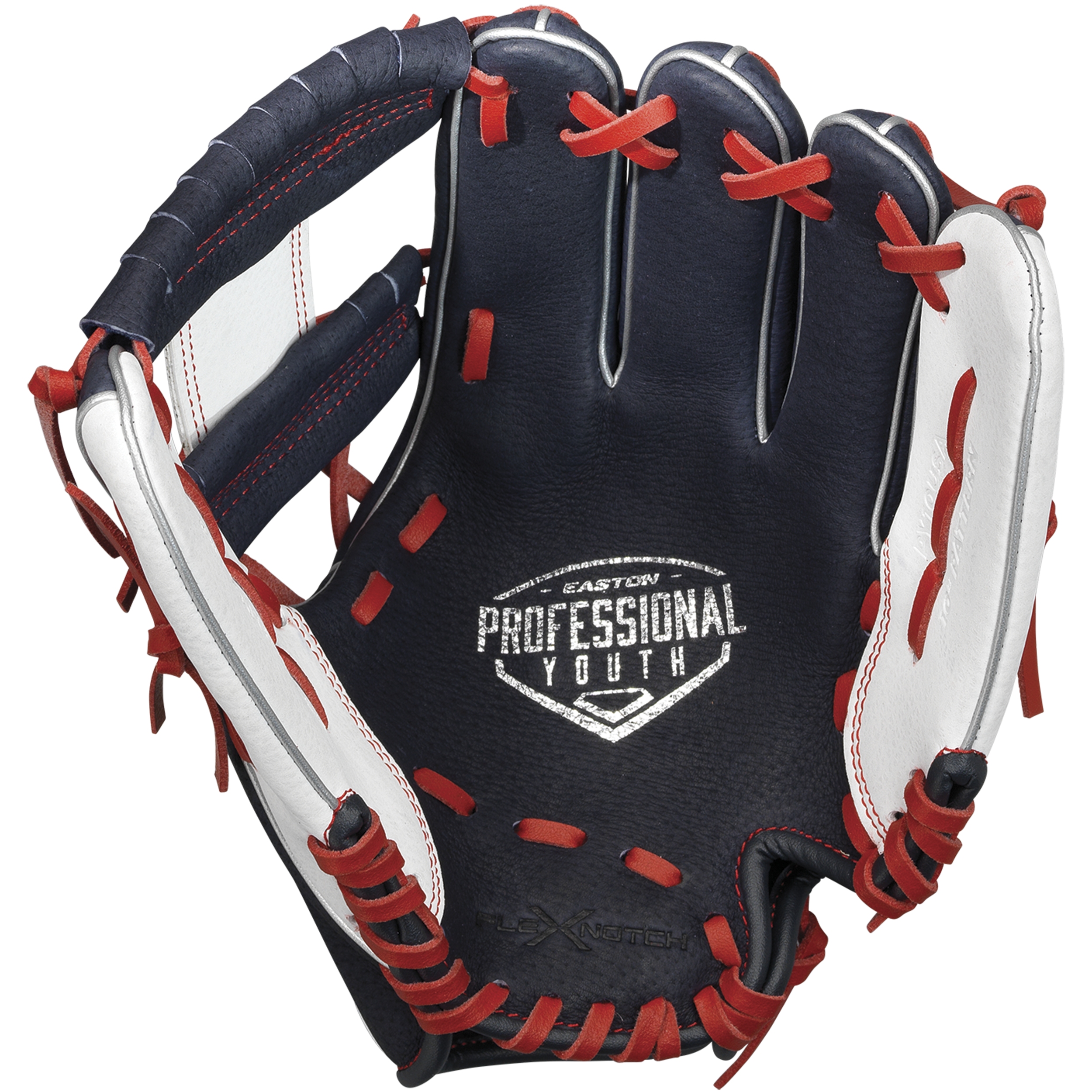 Easton Professional Collection 10 in Baseball  Glove,  1