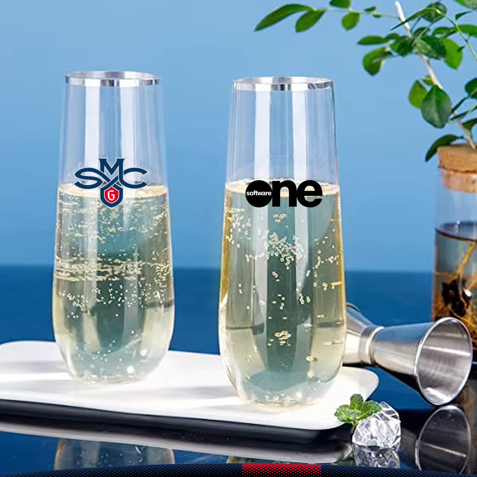 9 oz. Plastic Stemless Flute 5