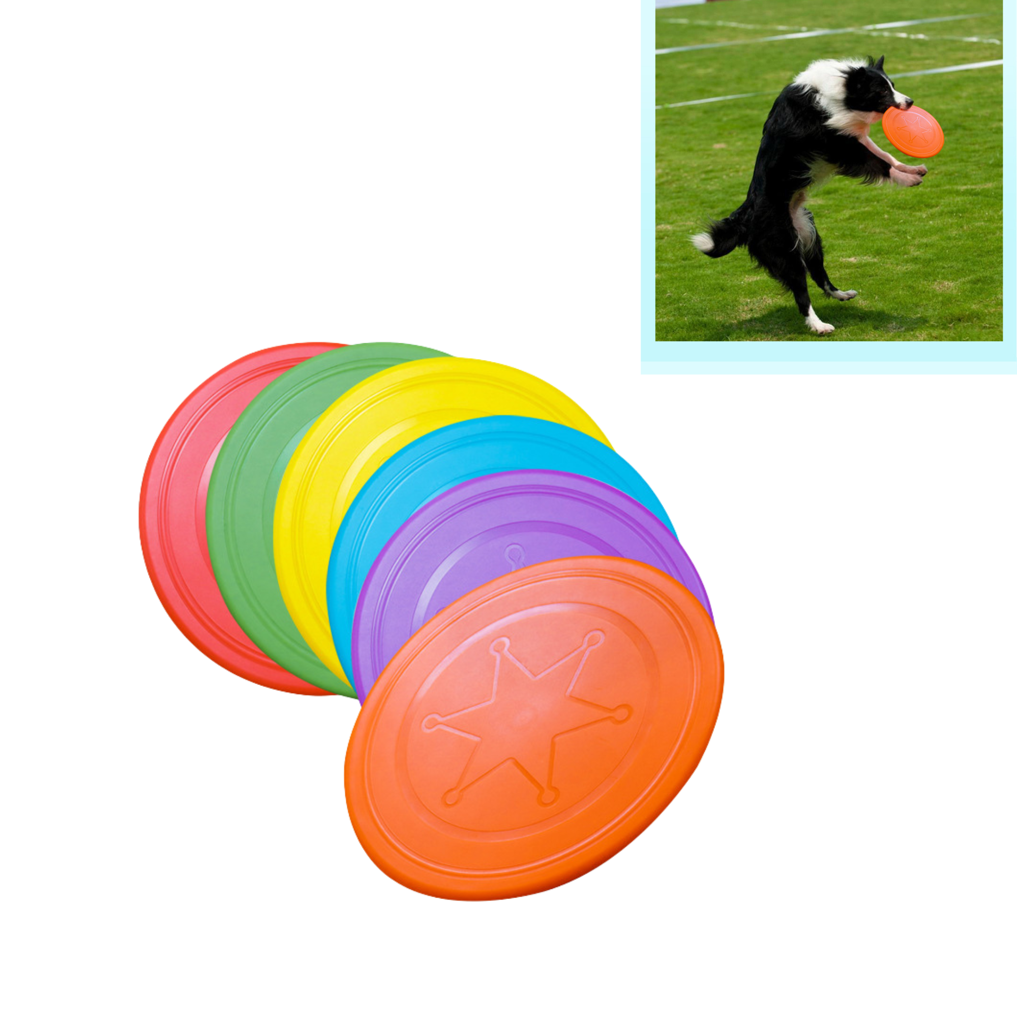 Lightweight Flying Disc Toy for Dogs 2