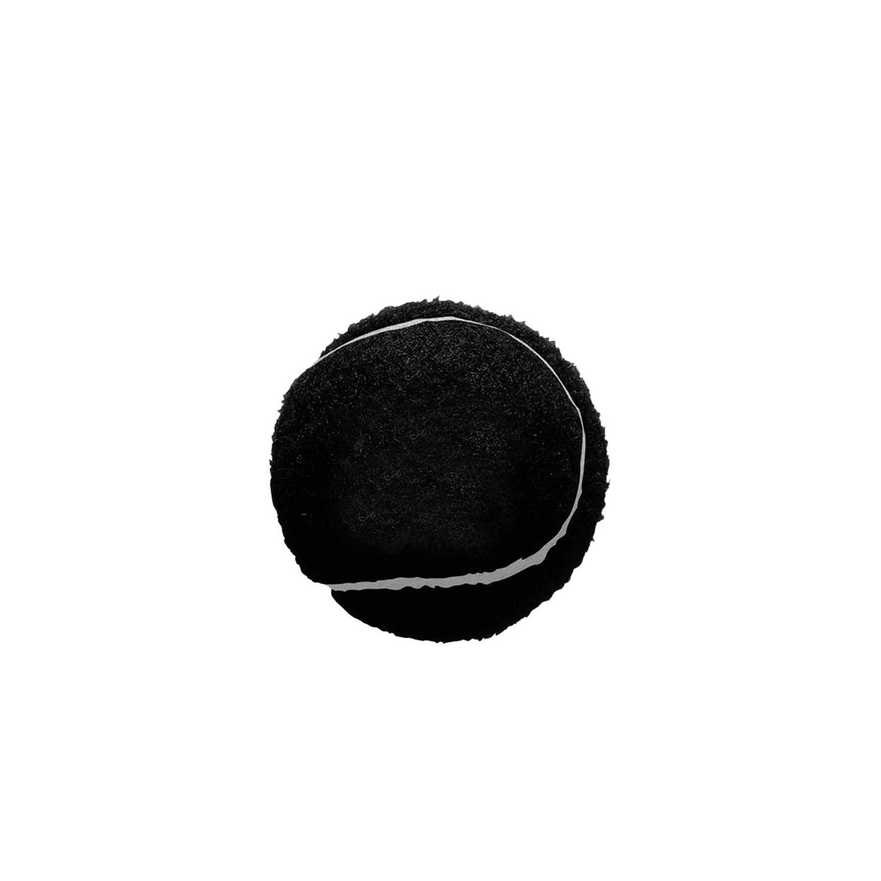 Pet Tennis Ball 10