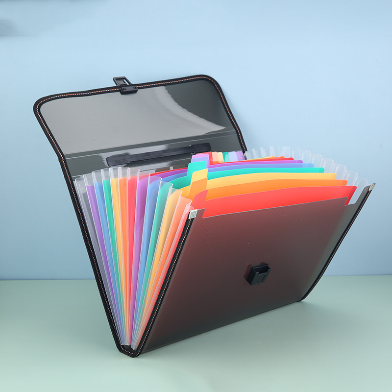 File Folder with 13 Pockets 2