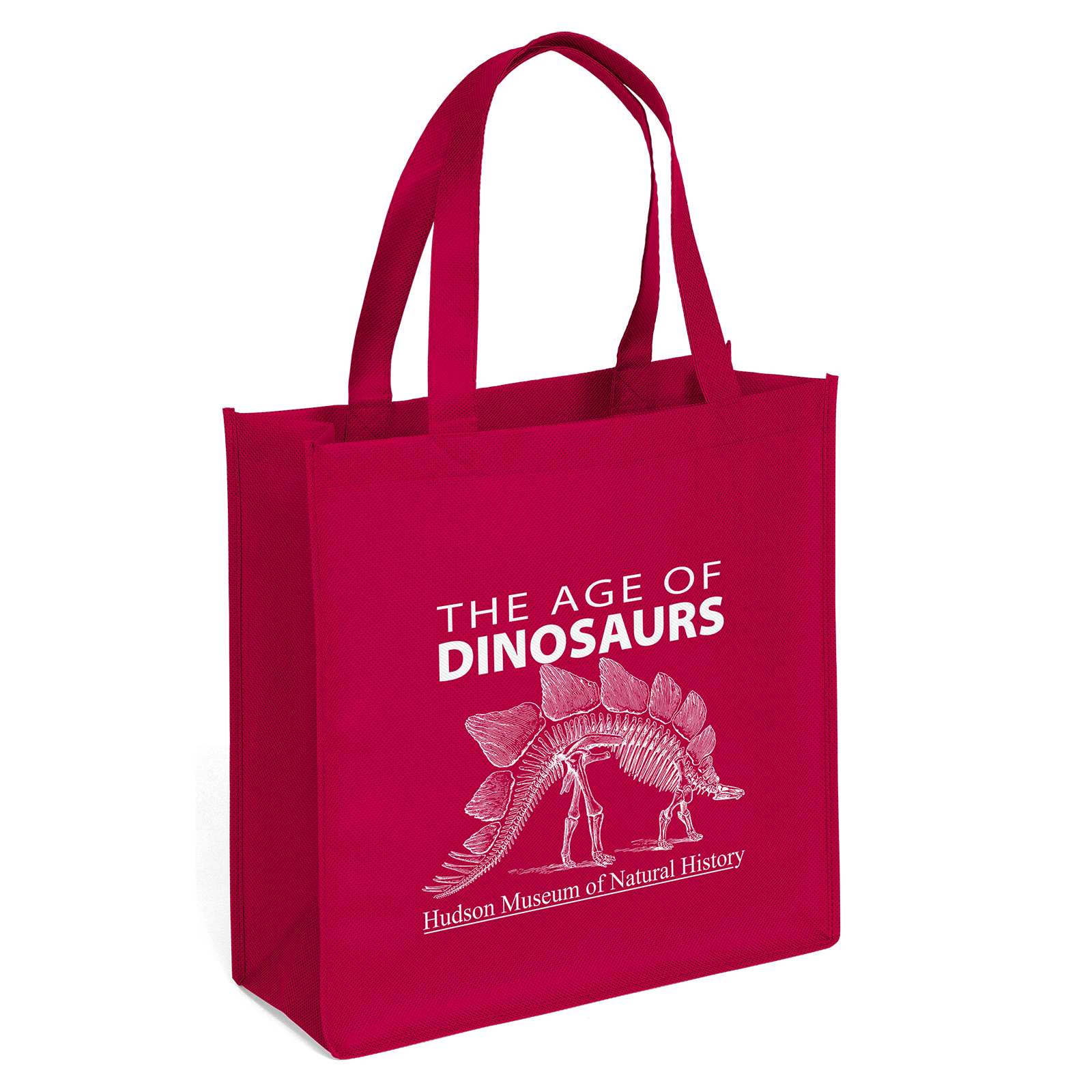Abe - Celebration Tote - Screen Print 10