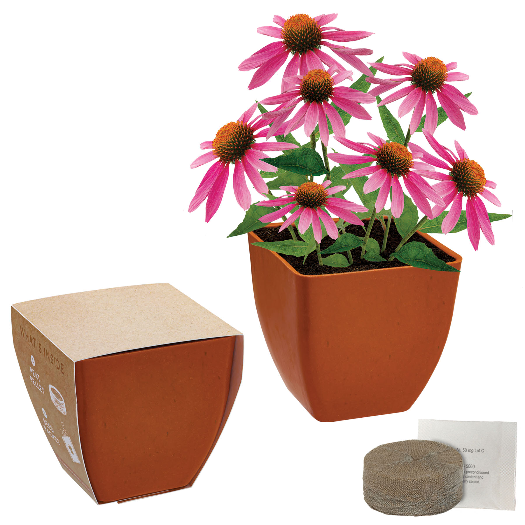 Bamboo Blossom Kit 10