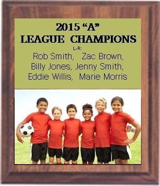 8" x 10" Cherry Finish Plaque with a Full Color Metal Plate 2