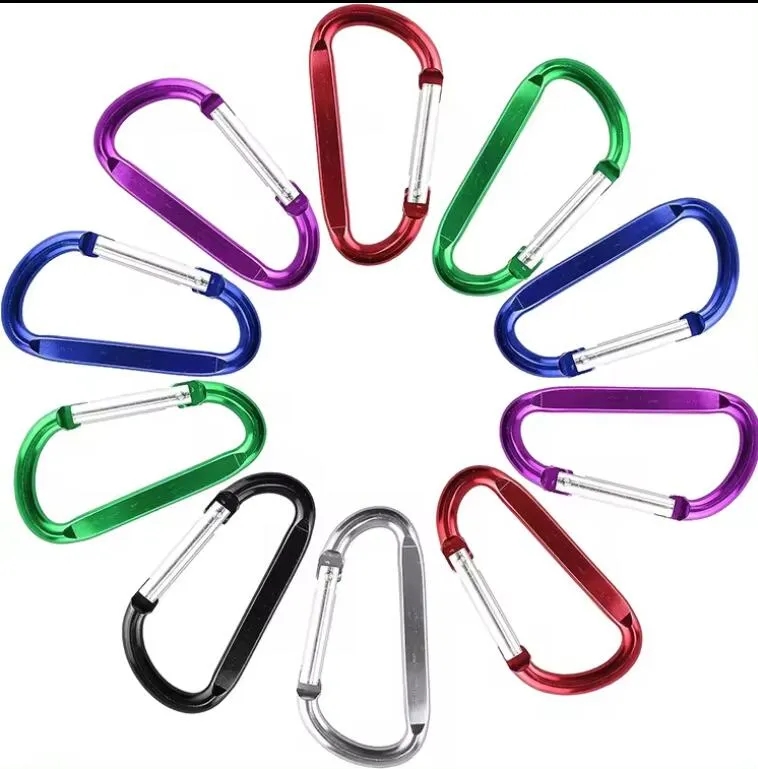 Carabiner keychain 9