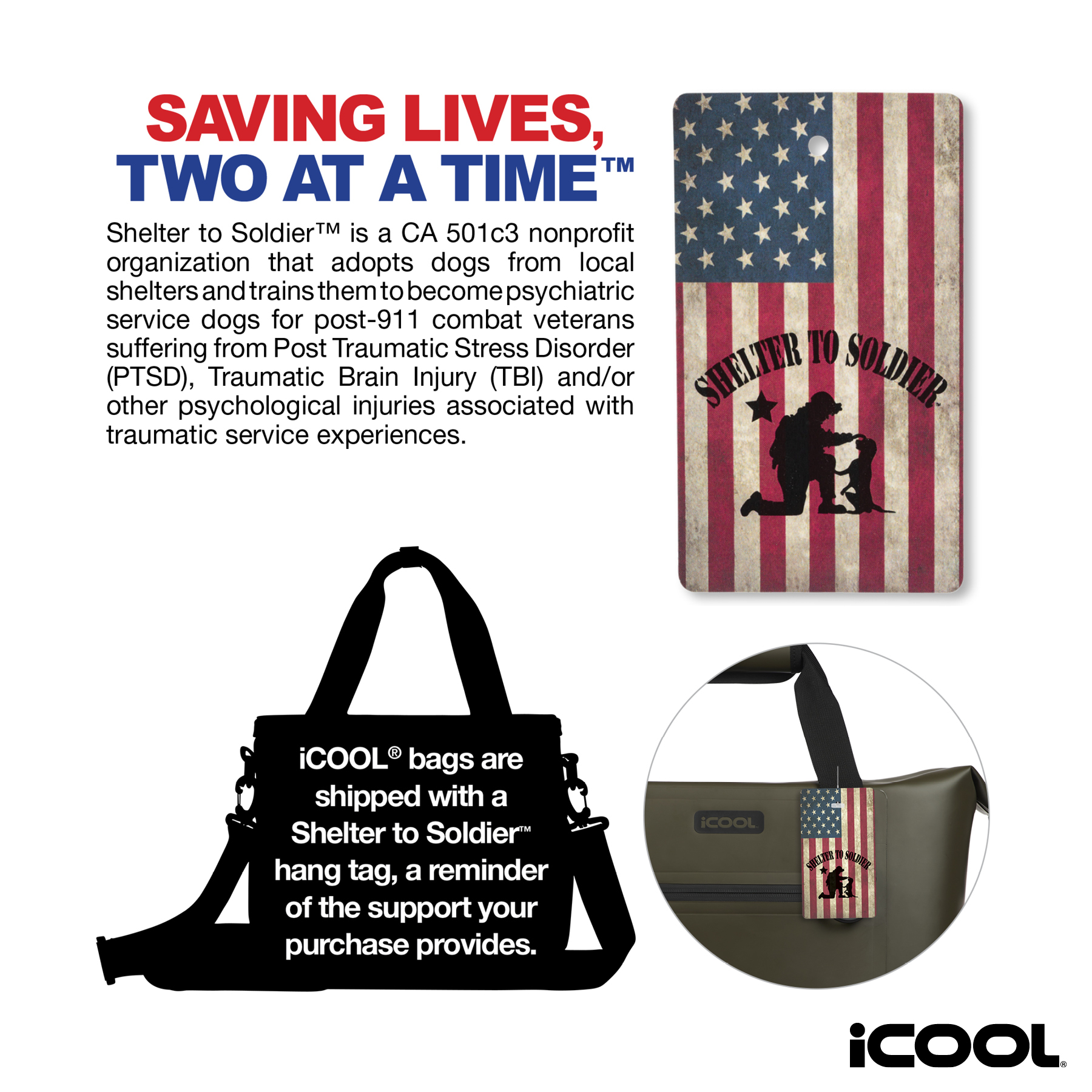 iCOOL® Castle Peak Waterproof Snap-Down 28-Can Cooler 5