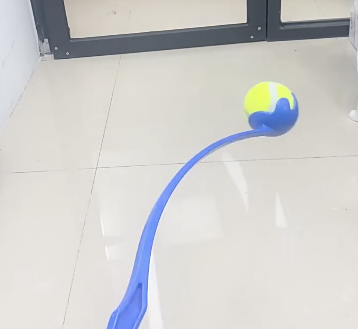 Dog Ball Launcher 5