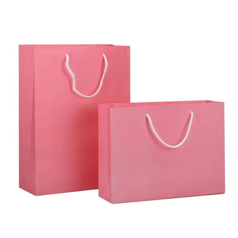Laminated Shopping Bag 8x10 6