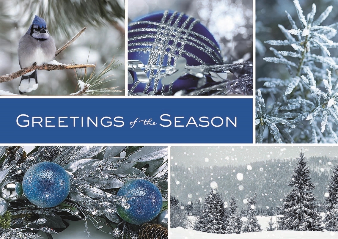 Icy Blue Wonder Holiday Cards 1