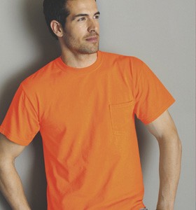 Embroidered G2300 100% Cotton Colored T-shirt with pocket 1