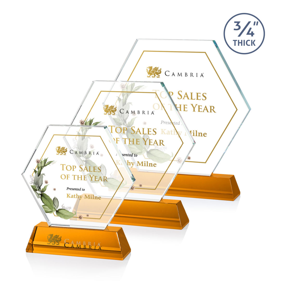Ralston VividPrint™ Award - Amber 7