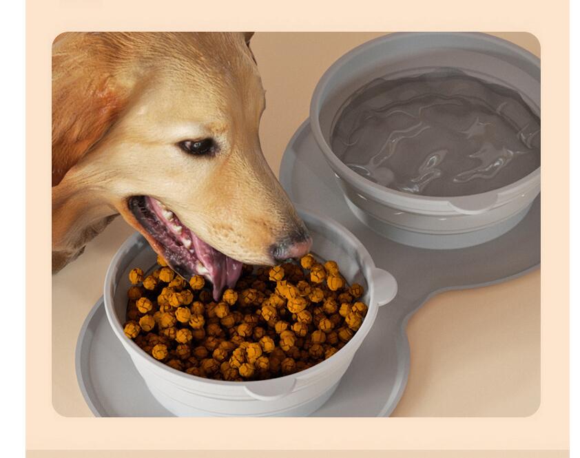 Food Grade Silicone Solid Foldable and Hanging Pet Bowl 3