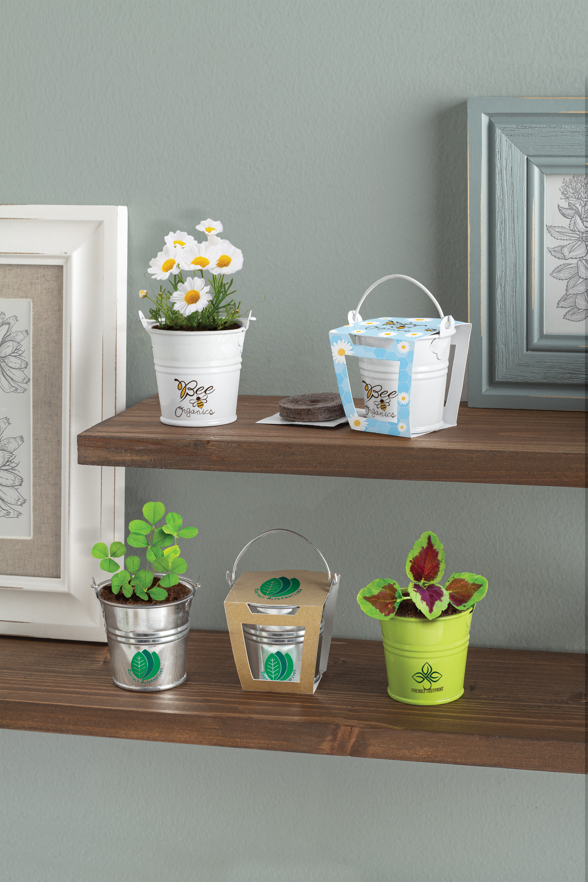 Mini Pail Blossom Kit 22