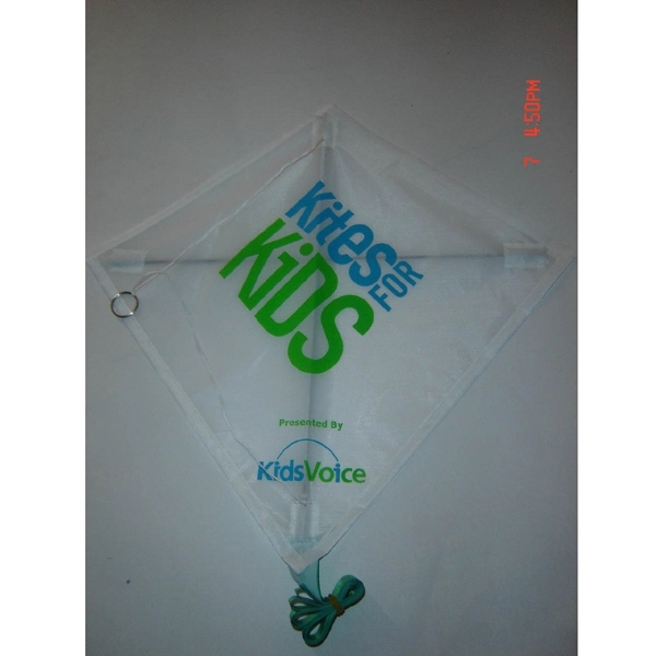 Kite 2