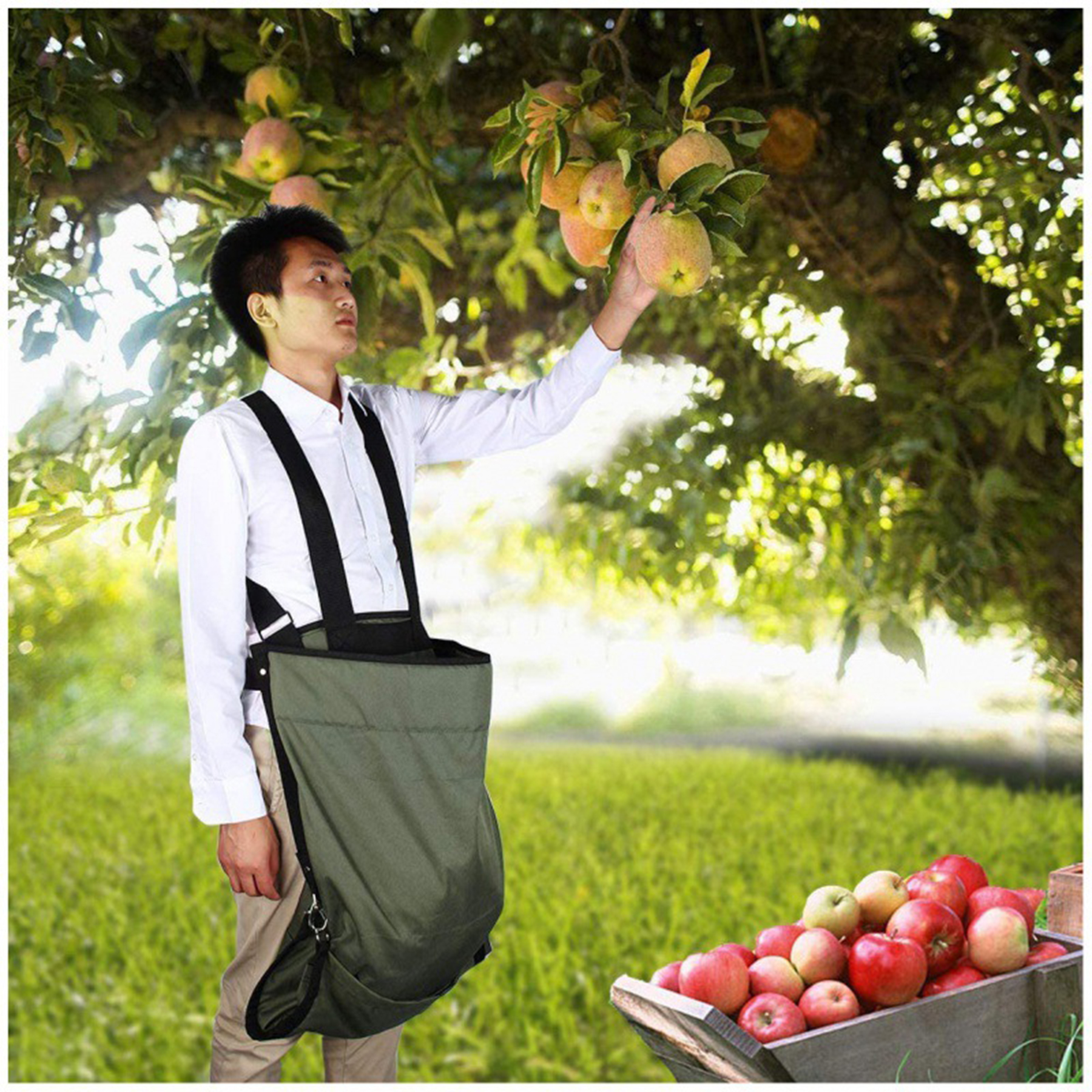 Oxford Garden Fruit Picking Bags 3