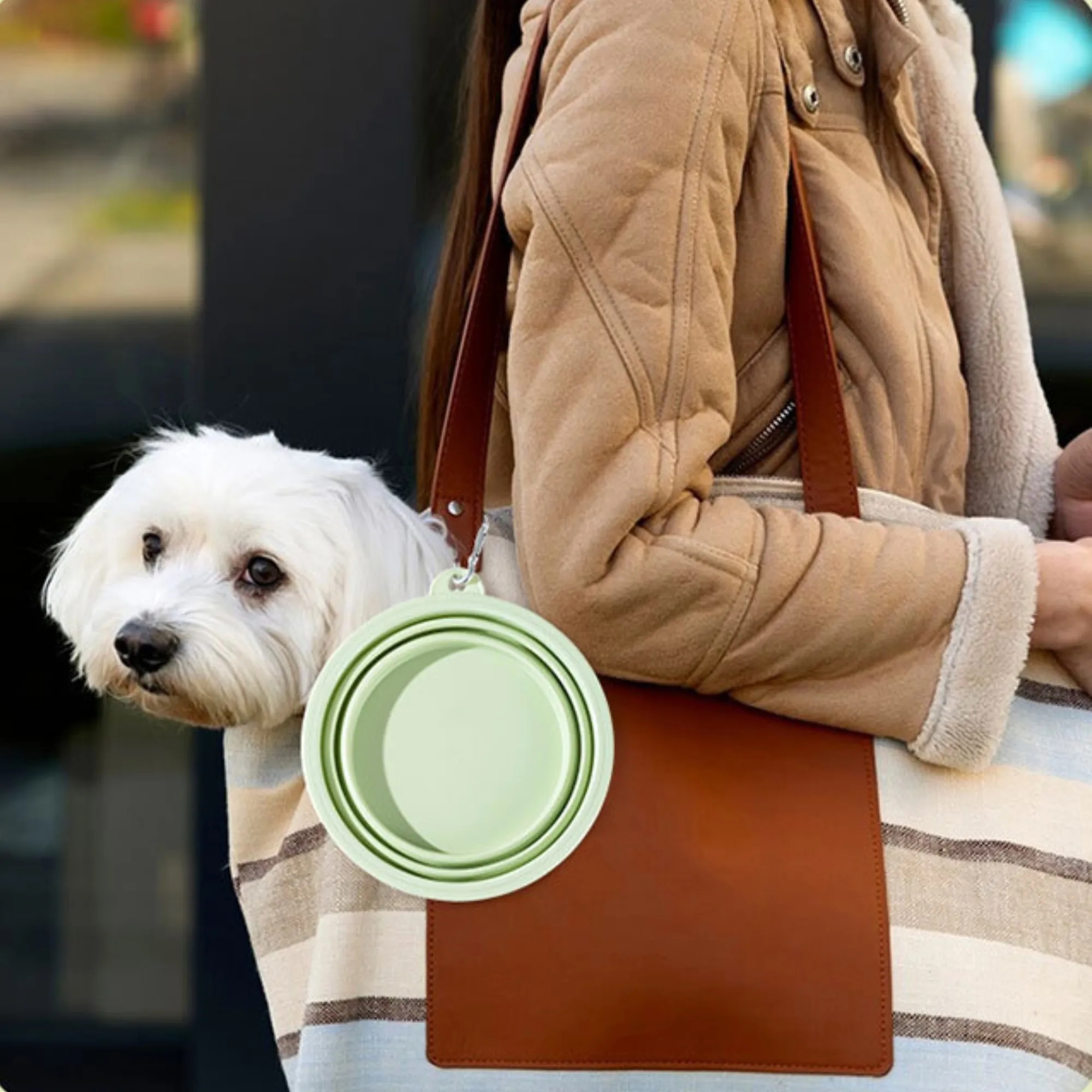 21oz Outdoor Collapsible Pet Bowl With Carabiner 4