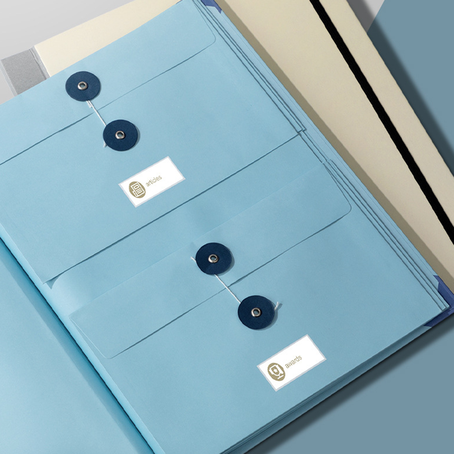 Elegant Accordion Style Fold Out File Holder 3