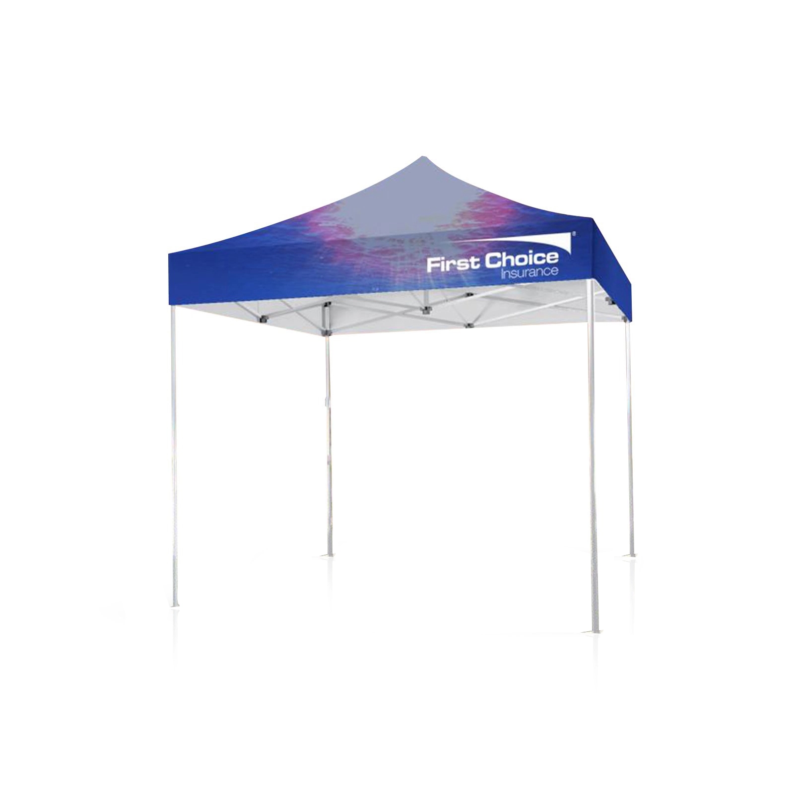 10' X 10' Tent w/ Full Color Canopy 11