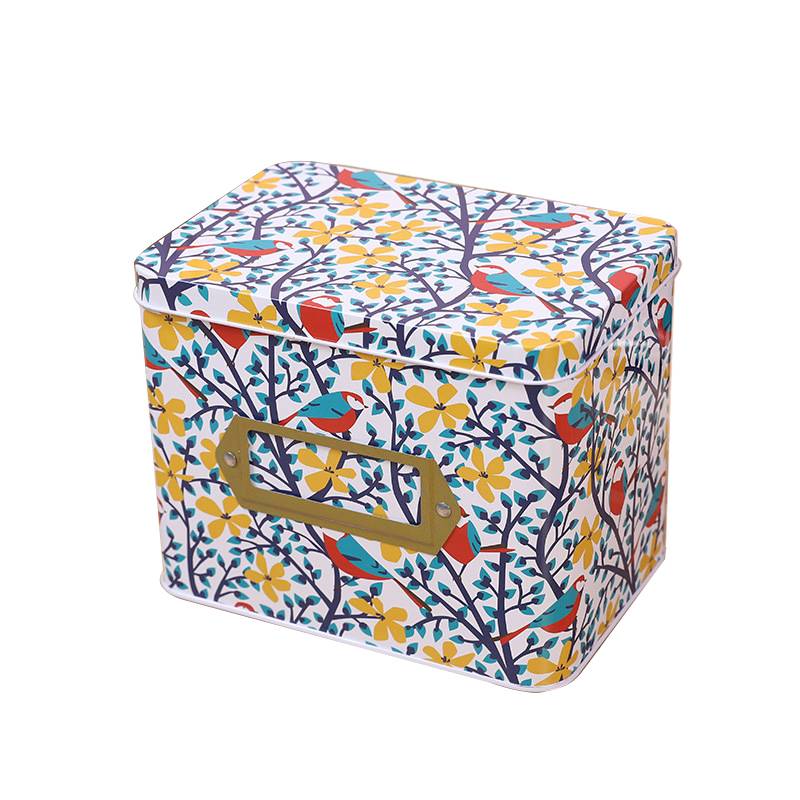 Tinplate Printed Metal Box 9