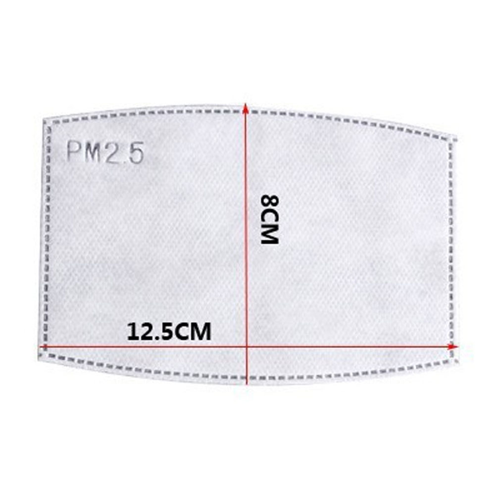Mask PM2.5 Activated Carbon Filter 4