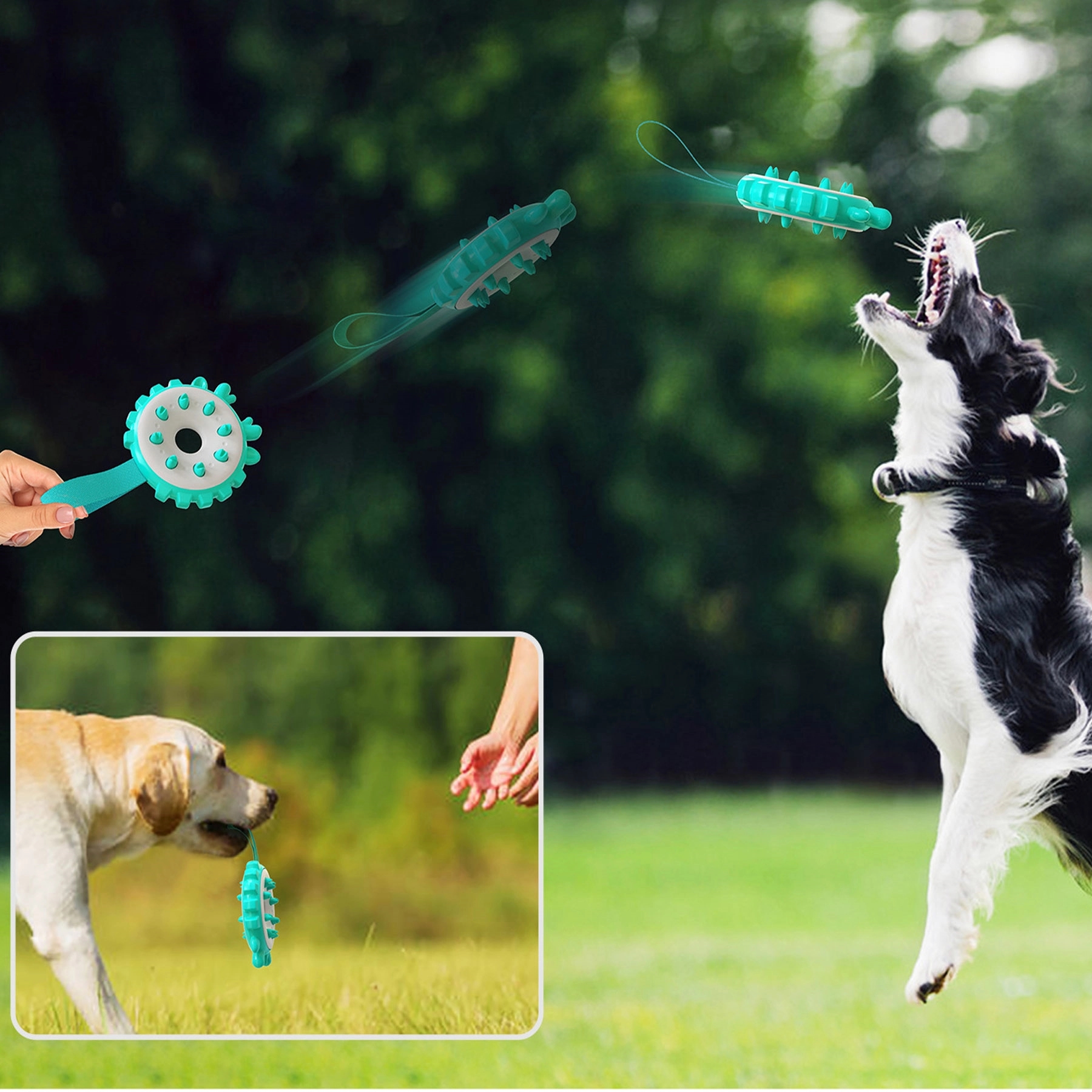 4 In1 Dog Teeth cleaning Toys 3