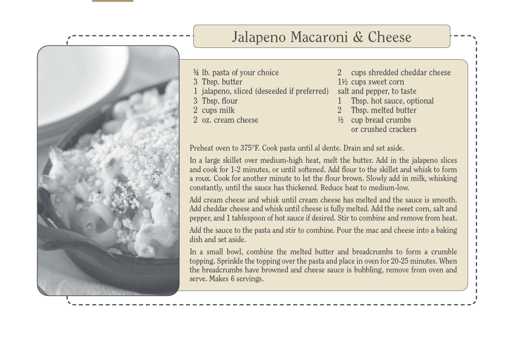 Triumph® Calendars Recipe Pocket Calendar 20