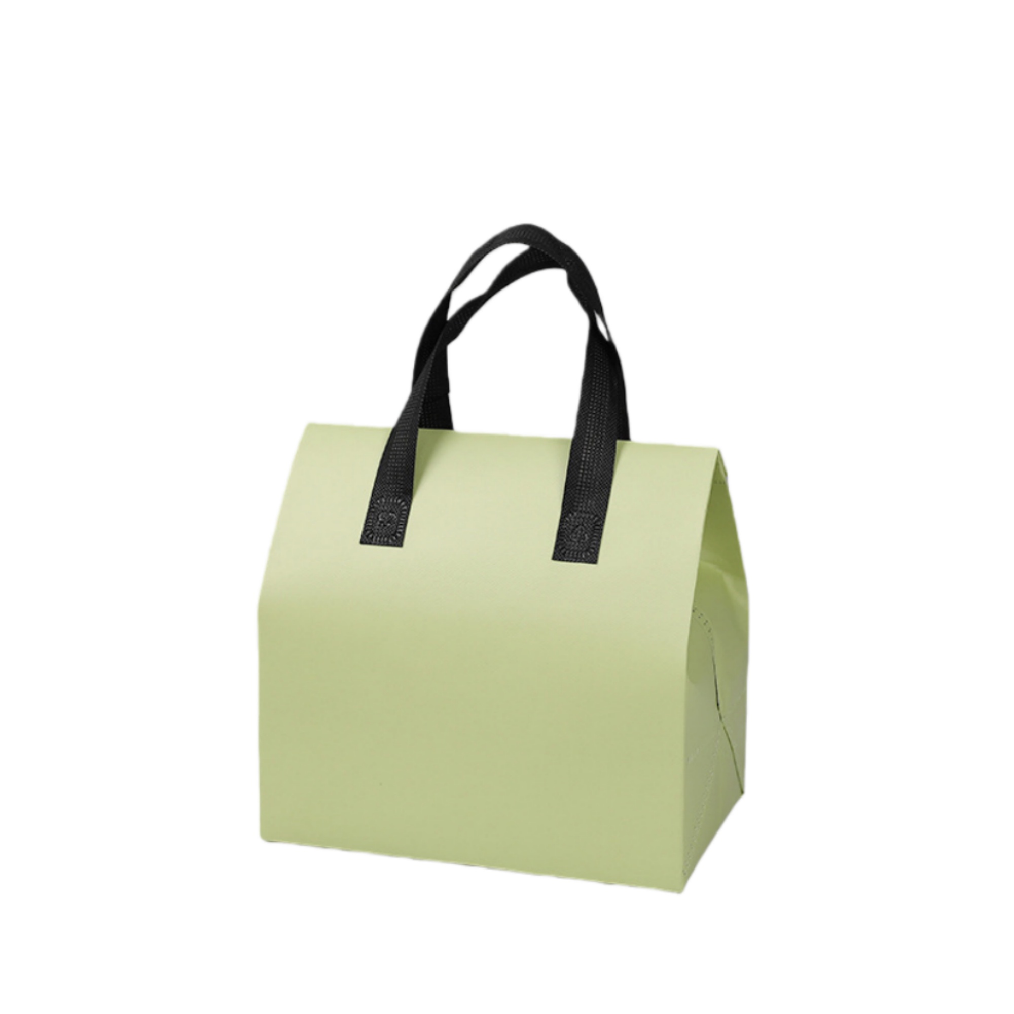 Insulated Take Away Bag 9