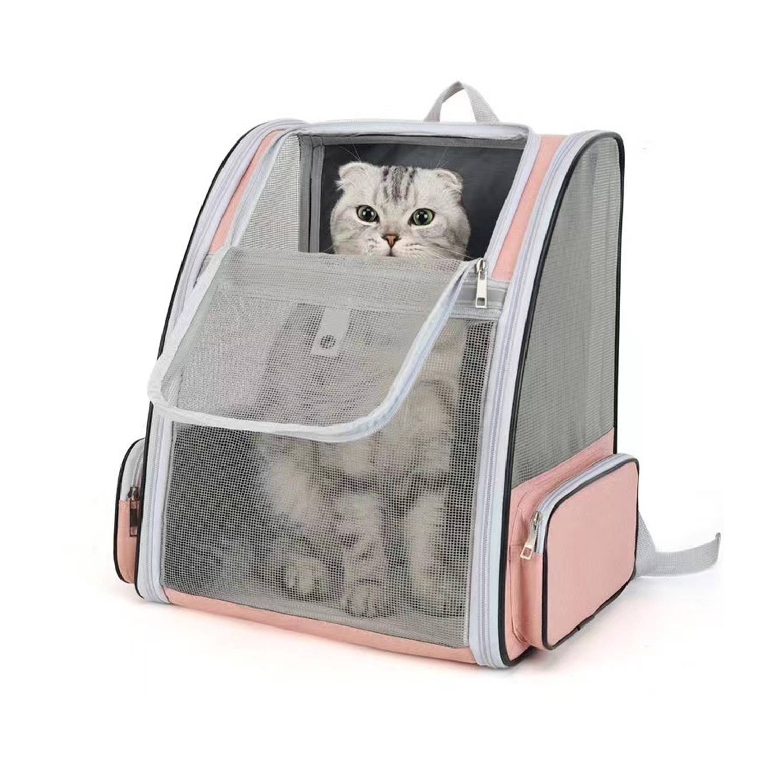 Innovative Traveler Pet Carriers 1