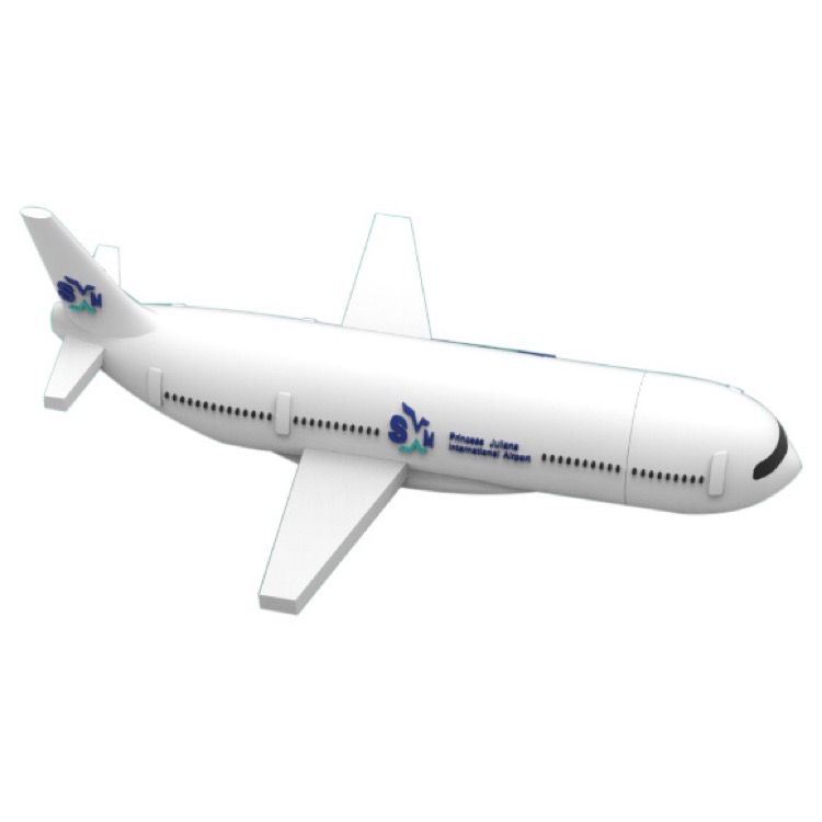 Custom 737 Passenger Plane Charger 6