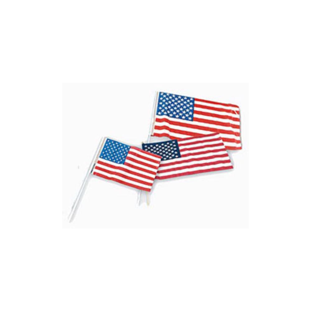 USA Flags - 12" x 18" 2