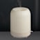 Wellable™ Ambient Light Humidifier 42