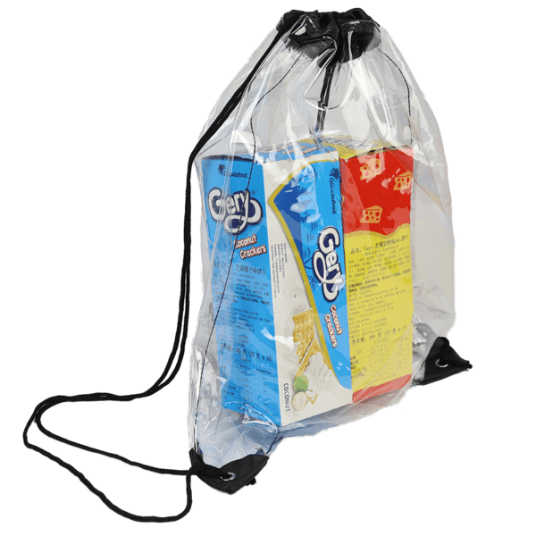 Phoenix Clear Drawstring Backpack 13