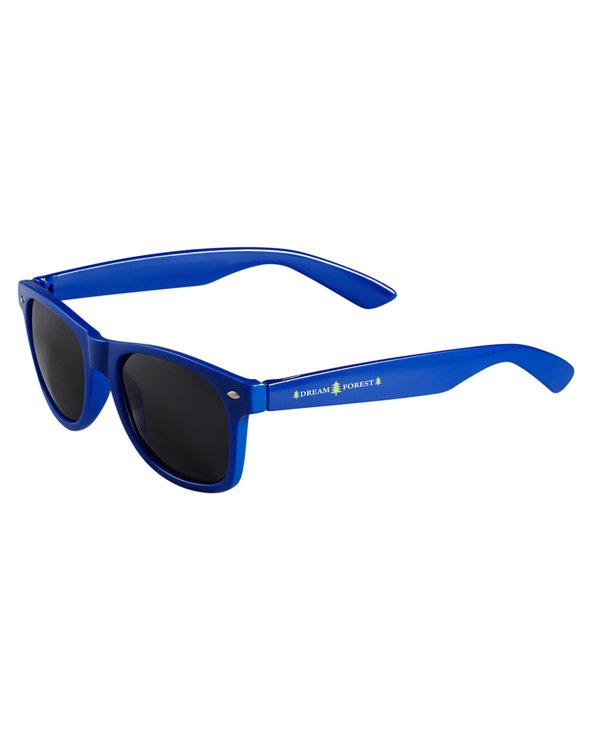 Polarized Sunglasses 1