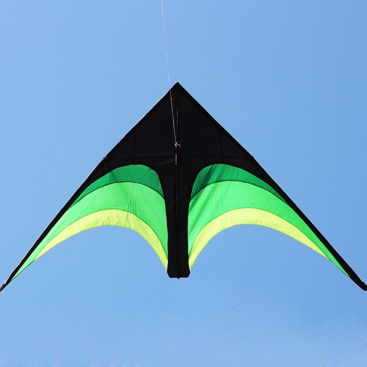 2016 New style kite 2