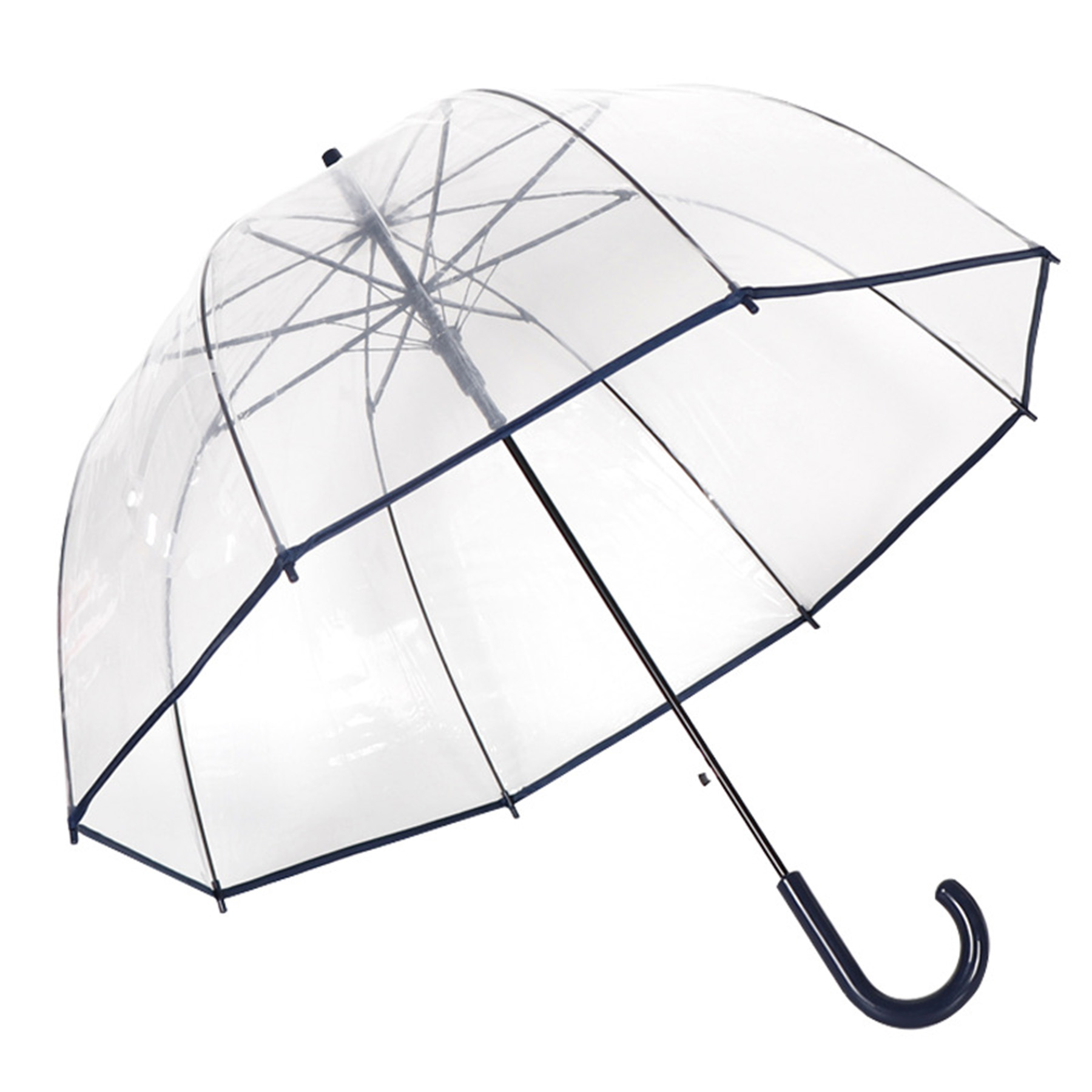 Clear Umbrella 1