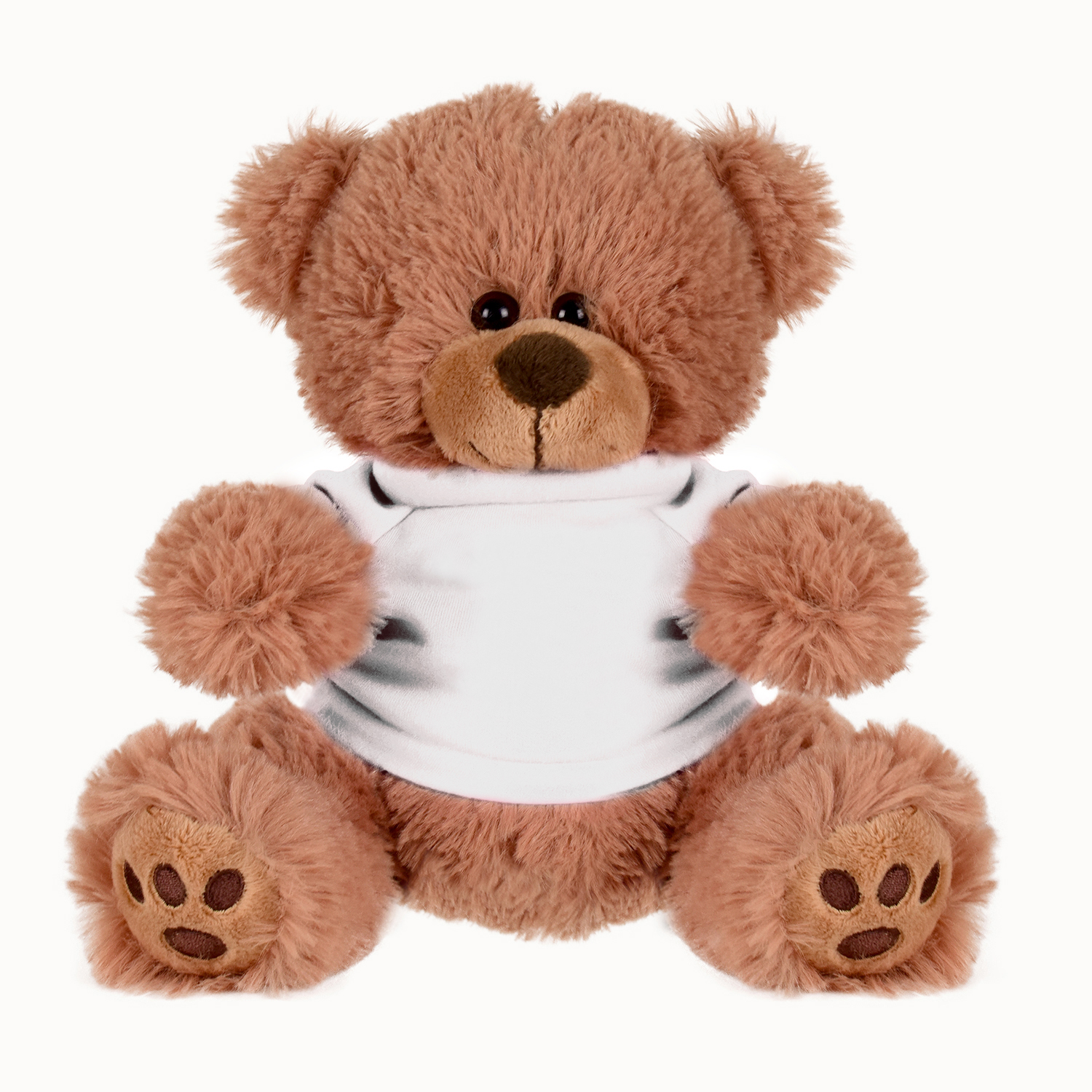 Plush Bear w/ Embroidered Paws and T-Shirt 24