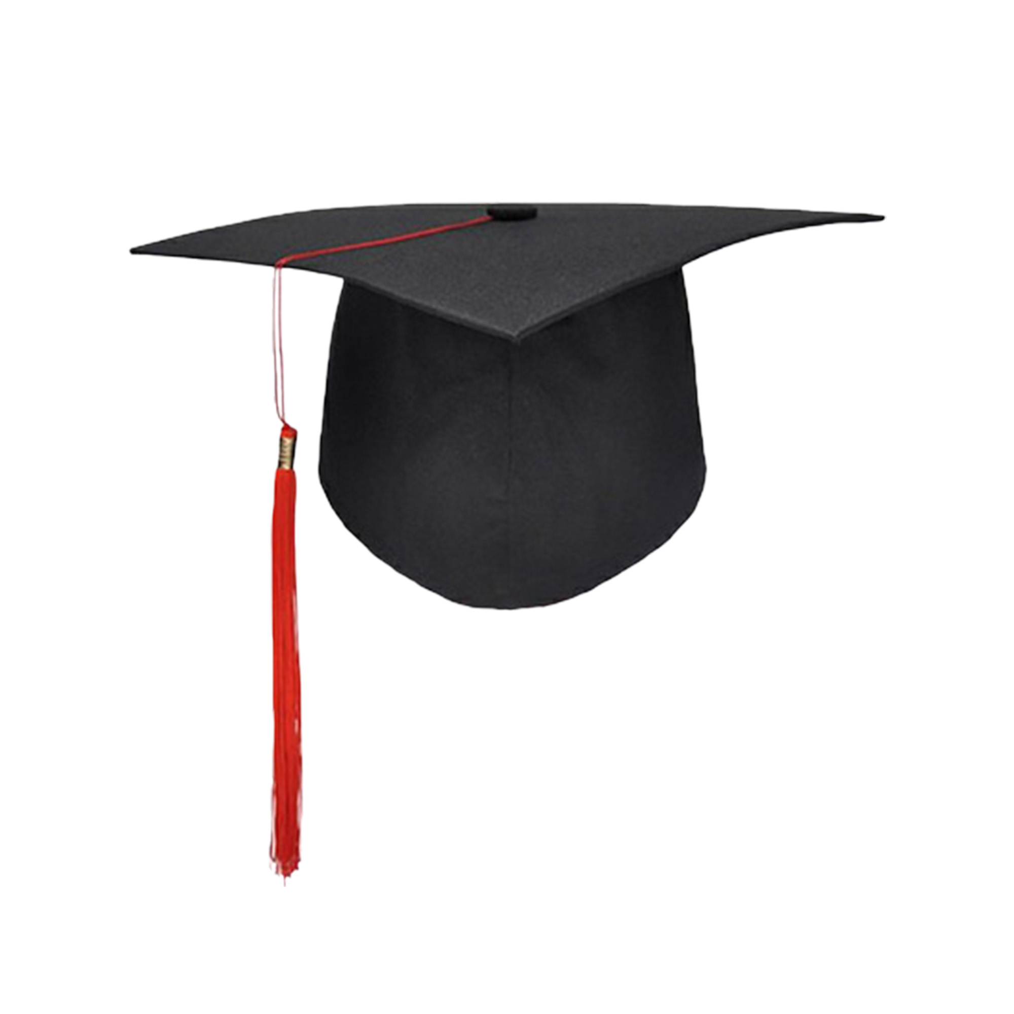 Custom Logo Academic Graduation Cap 1