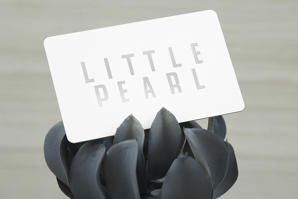 Matte Plastic Business Cards 14